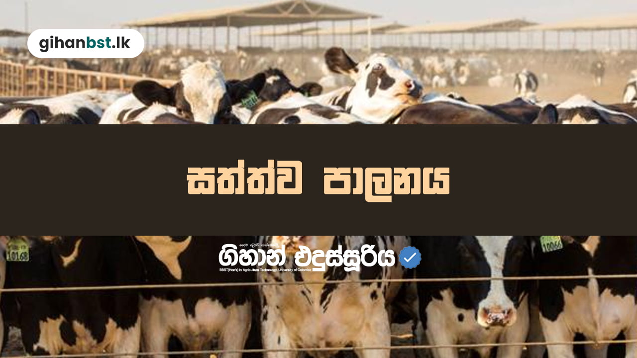 සත්ව පාලනය speed revision