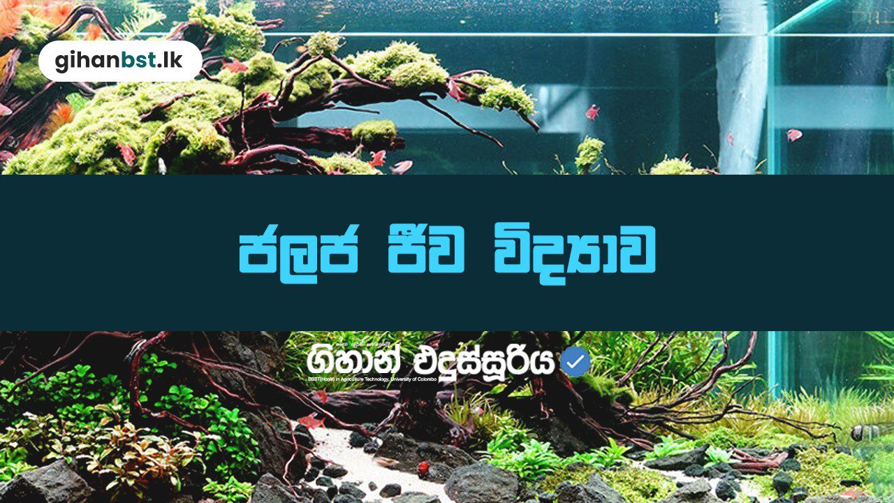 ජලජ ජීව විද්‍යාව speed revision