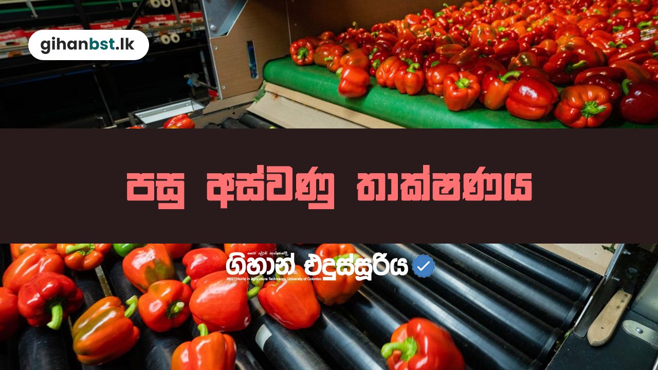 පසු අස්වනු තාක්ෂණය