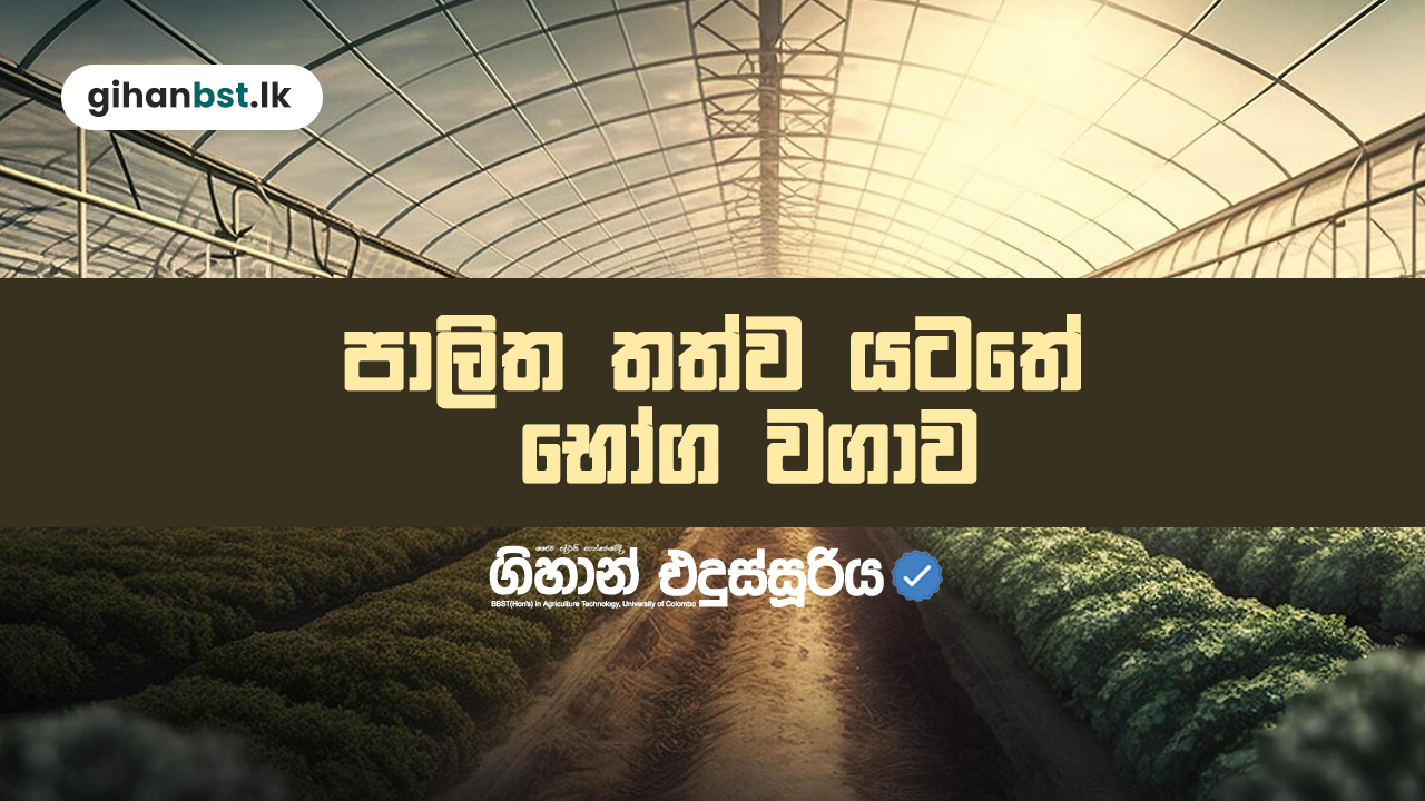 පාලිත තත්ව යටතේ බෝග වගාව