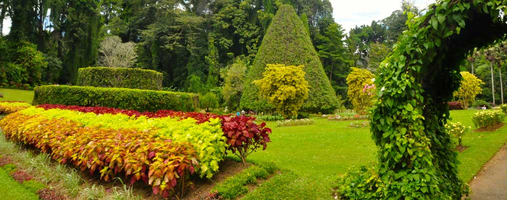 උද්‍යානය අලංකරණය.