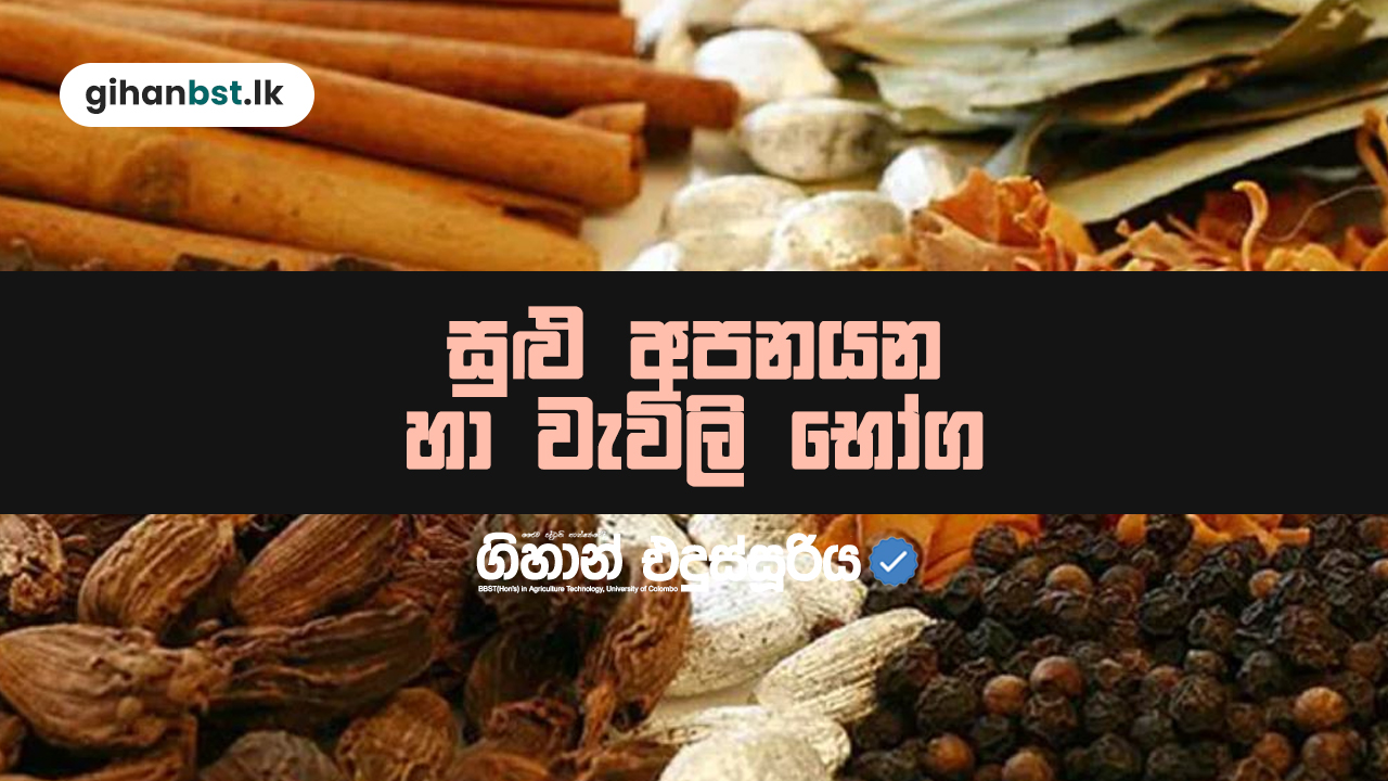 දැව හා දැව නොවන වනජ් නිශ්පාදන