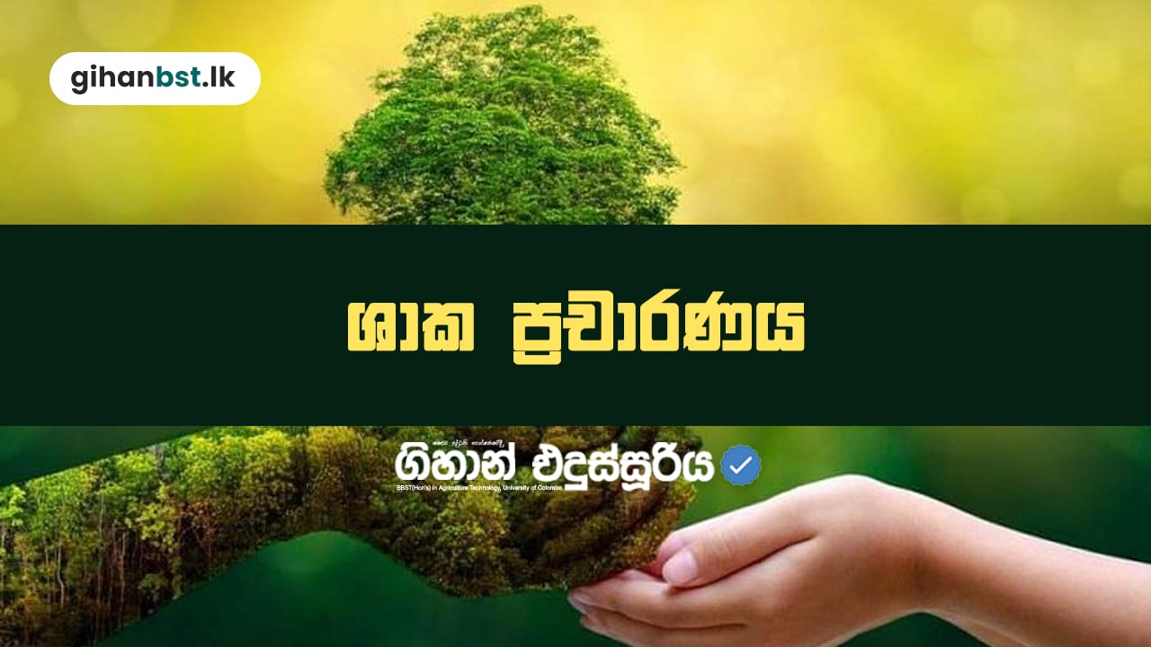 ශාක ප්‍රචරණය